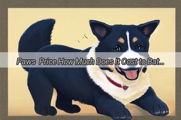 Paws  Price How Much Does It Cost to Bathe Your Furry Friend